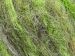 Kid Mohair Alpaca Color Turuncu Gri Yeşil Tonları Deve Tüyü